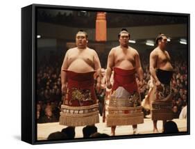 Sumo Wrestler-null-Framed Stretched Canvas