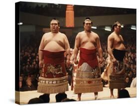 Sumo Wrestler-null-Stretched Canvas