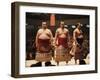 Sumo Wrestler-null-Framed Premium Photographic Print