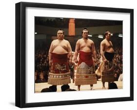 Sumo Wrestler-null-Framed Premium Photographic Print