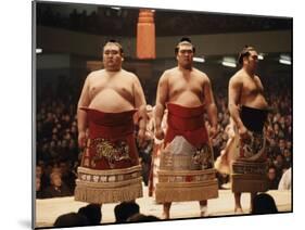 Sumo Wrestler-null-Mounted Premium Photographic Print