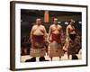 Sumo Wrestler-null-Framed Photographic Print