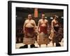 Sumo Wrestler-null-Framed Photographic Print