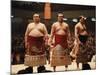 Sumo Wrestler-null-Mounted Photographic Print