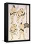 Sumo Wrestlers, 1817-Katsushika Hokusai-Framed Stretched Canvas