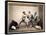 Sumo Wrestlers, c.1870-80-Felice Beato-Framed Stretched Canvas