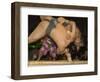 Sumo Wrestlers Competing, Grand Taikai Sumo Wrestling Tournament, Kokugikan Hall Stadium, Tokyo-Christian Kober-Framed Photographic Print