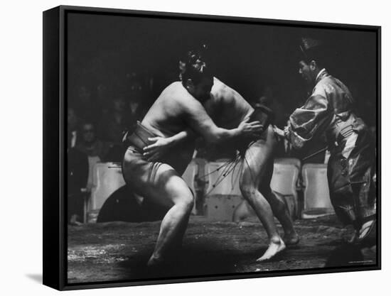 Sumo Wrestlers During Match-Bill Ray-Framed Stretched Canvas