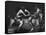 Sumo Wrestlers During Match-Bill Ray-Framed Stretched Canvas