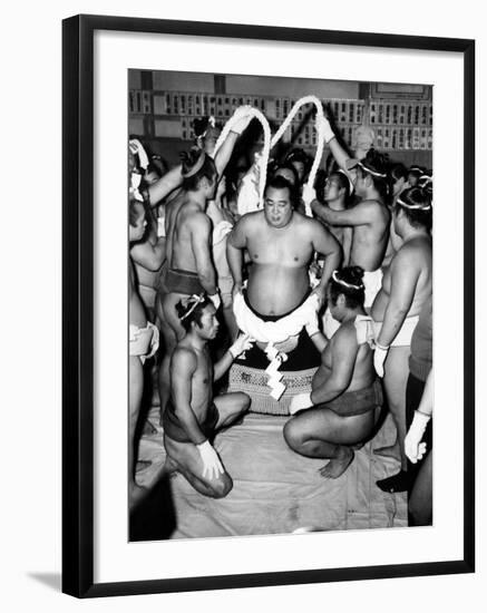 Sumo Wrestlers in Japan. Ca 1950s-null-Framed Photo