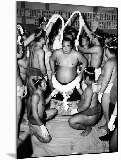 Sumo Wrestlers in Japan. Ca 1950s-null-Mounted Photo