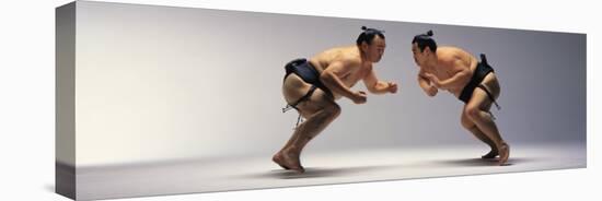 Sumo Wrestlers Japan-null-Stretched Canvas