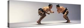 Sumo Wrestlers Japan-null-Stretched Canvas