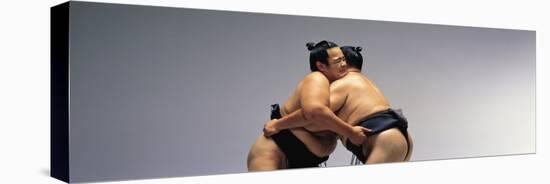 Sumo Wrestlers Japan-null-Stretched Canvas