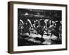 Sumo Wrestlers Performing a Ritual Dance Before a Demonstration Match-Bill Ray-Framed Premium Photographic Print