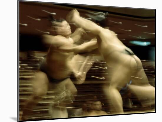 Sumo Wrestling Japan-null-Mounted Premium Photographic Print