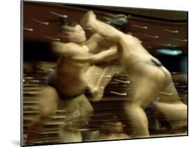 Sumo Wrestling Japan-null-Mounted Premium Photographic Print