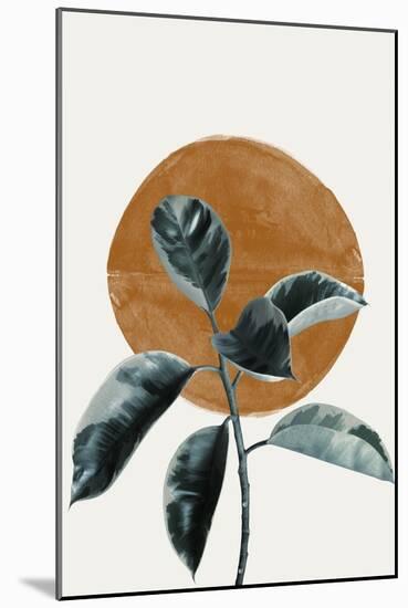 Sun and Ficus-THE MIUUS STUDIO-Mounted Giclee Print