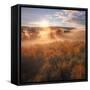 Sun and Fog at Hayden Valley (Square)-Vincent James-Framed Stretched Canvas