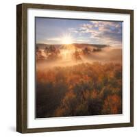 Sun and Fog at Hayden Valley (Square)-Vincent James-Framed Photographic Print