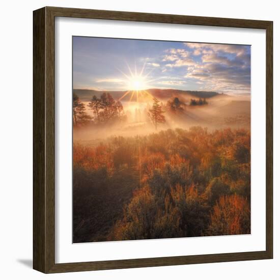 Sun and Fog at Hayden Valley (Square)-Vincent James-Framed Photographic Print