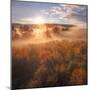 Sun and Fog at Hayden Valley (Square)-Vincent James-Mounted Photographic Print
