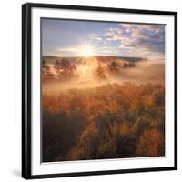 Sun and Fog at Hayden Valley (Square)-Vincent James-Framed Photographic Print