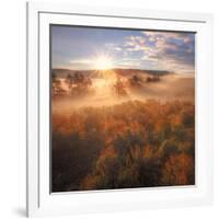 Sun and Fog at Hayden Valley (Square)-Vincent James-Framed Photographic Print