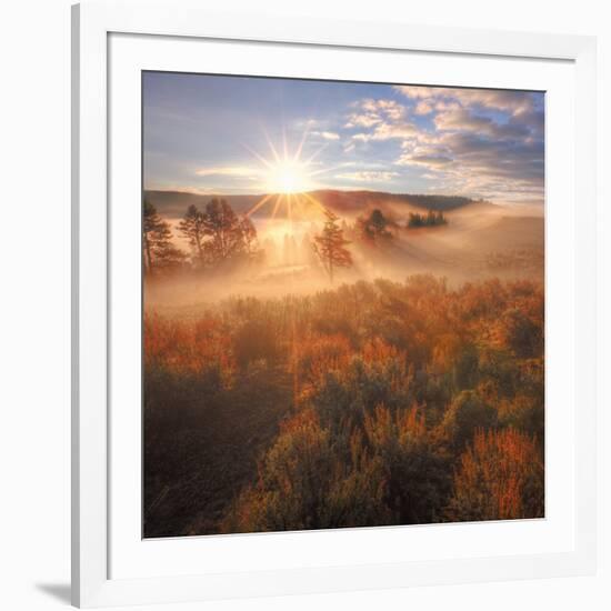 Sun and Fog at Hayden Valley (Square)-Vincent James-Framed Photographic Print