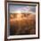 Sun and Fog at Hayden Valley (Square)-Vincent James-Framed Photographic Print