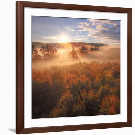 Sun and Fog at Hayden Valley (Square)-Vincent James-Framed Photographic Print