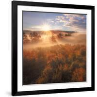 Sun and Fog at Hayden Valley (Square)-Vincent James-Framed Photographic Print