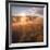 Sun and Fog at Hayden Valley (Square)-Vincent James-Framed Photographic Print