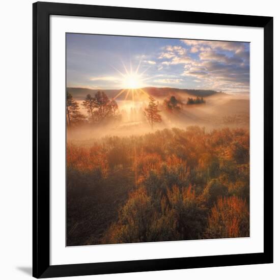 Sun and Fog at Hayden Valley (Square)-Vincent James-Framed Photographic Print