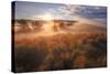 Sun and Fog at Hayden Valley, Yellowstone-Vincent James-Stretched Canvas