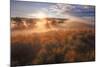 Sun and Fog at Hayden Valley, Yellowstone-Vincent James-Mounted Photographic Print