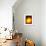 Sun And Its Planets-Detlev Van Ravenswaay-Framed Premium Photographic Print displayed on a wall