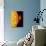 Sun And Its Planets-Detlev Van Ravenswaay-Premium Photographic Print displayed on a wall