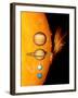 Sun And Its Planets-Detlev Van Ravenswaay-Framed Premium Photographic Print