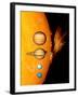 Sun And Its Planets-Detlev Van Ravenswaay-Framed Premium Photographic Print