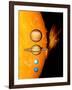 Sun And Its Planets-Detlev Van Ravenswaay-Framed Premium Photographic Print