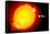 Sun And Its Planets-Detlev Van Ravenswaay-Framed Stretched Canvas