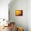 Sun And Its Planets-Detlev Van Ravenswaay-Framed Stretched Canvas displayed on a wall