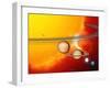 Sun And Its Planets-Detlev Van Ravenswaay-Framed Premium Photographic Print