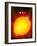 Sun And Its Planets-Detlev Van Ravenswaay-Framed Photographic Print