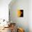 Sun And Its Planets-Detlev Van Ravenswaay-Photographic Print displayed on a wall