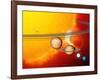 Sun And Its Planets-Detlev Van Ravenswaay-Framed Photographic Print