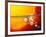 Sun And Its Planets-Detlev Van Ravenswaay-Framed Photographic Print