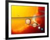 Sun And Its Planets-Detlev Van Ravenswaay-Framed Photographic Print