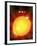 Sun And Its Planets-Detlev Van Ravenswaay-Framed Photographic Print